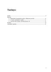 Kosmetikos produktų sudėties analizė (3 produktai) 2 puslapis