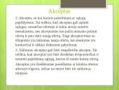 Sutarties sudarymo stadijos 20 puslapis