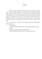 Empirizmas ir realizmas 2 puslapis