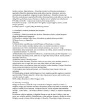 Filosofijos konspektas atsiskaitymui 3 puslapis