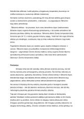 Globalinio atšilimo pristabdymo metodai ir perspektyvos 4 puslapis