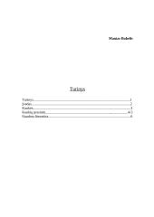 Užgavėnių kaukės ir jų prasmės 2 puslapis