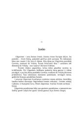 Užgavėnių kaukės ir jų prasmės 3 puslapis