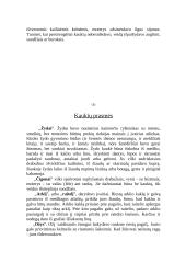 Užgavėnių kaukės ir jų prasmės 5 puslapis