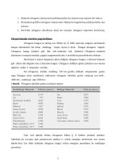 Ultragarso slopinimas ore laboratorinis 2 puslapis