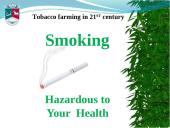 Tobacco farming in 21st century