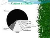 Tobacco farming in 21st century 2 puslapis