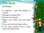 Tobacco farming in 21st century 3 puslapis