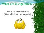 Tobacco farming in 21st century 4 puslapis