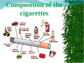 Tobacco farming in 21st century 5 puslapis