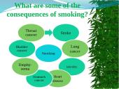 Tobacco farming in 21st century 8 puslapis