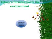 Tobacco farming in 21st century 9 puslapis