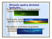 Henrikas Radauskas skaidrės 18 puslapis