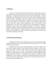 "Reklamos kvapas“ verslo planas 13 puslapis