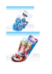 "Reklamos kvapas“ verslo planas 18 puslapis