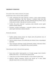 "Reklamos kvapas“ verslo planas 20 puslapis