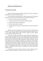 "Reklamos kvapas“ verslo planas 8 puslapis