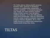 Galvos smegenų sandara skaidrės 12 puslapis