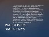 Galvos smegenų sandara skaidrės 14 puslapis