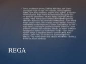 Galvos smegenų sandara skaidrės 16 puslapis