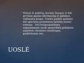 Galvos smegenų sandara skaidrės 20 puslapis