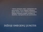 Galvos smegenų sandara skaidrės 4 puslapis