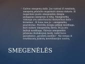 Galvos smegenų sandara skaidrės 10 puslapis