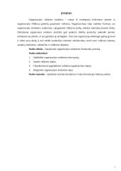 Organizacijos struktūros 2 puslapis