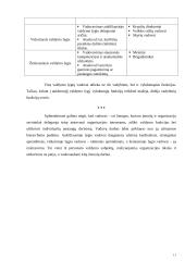 Organizacijos struktūros 11 puslapis