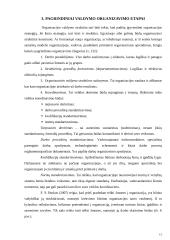 Organizacijos struktūros 12 puslapis