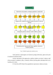 Organizacijos struktūros 13 puslapis