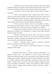 Organizacijos struktūros 14 puslapis