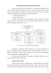 Organizacijos struktūros 15 puslapis