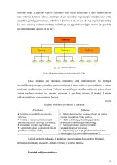 Organizacijos struktūros 16 puslapis