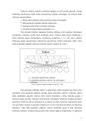 Organizacijos struktūros 17 puslapis