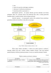 Organizacijos struktūros 19 puslapis