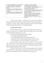 Organizacijos struktūros 20 puslapis