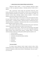 Organizacijos struktūros 3 puslapis