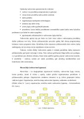 Organizacijos struktūros 4 puslapis