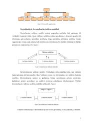 Organizacijos struktūros 5 puslapis