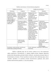 Organizacijos struktūros 6 puslapis