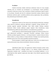 Organizacijos struktūros 8 puslapis