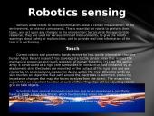 Robotics presentation 10 puslapis
