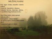 Lietuvos praeitis - svarbiausia Maironio lyrikos tema 6 puslapis