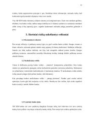 Rizikos rūšys SEB banke ir jų valdymas 13 puslapis