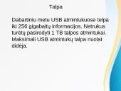 USB atmintukas 4 puslapis