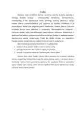 Lietuviško baleto kelias: Rusijos baleto įtaka 2 puslapis