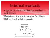 Pagrindiniai organizacijų tipai pagal H. Mintzbergą 7 puslapis