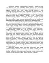 Lytis, socialiniai lyčių santykiai 5 puslapis