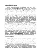 Lytis, socialiniai lyčių santykiai 6 puslapis